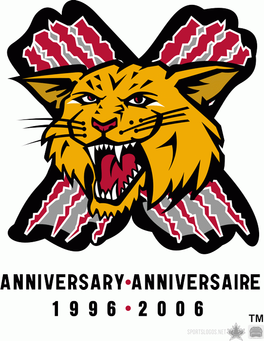 moncton wildcats 2007 anniversary logo iron on heat transfer